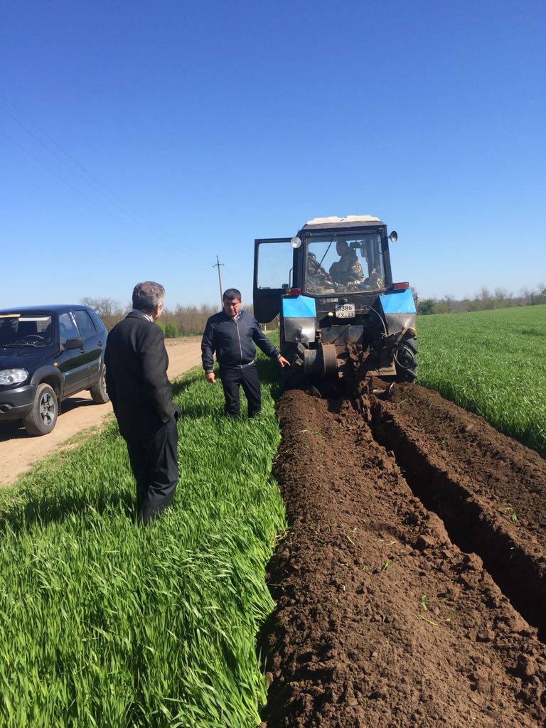 В Новопеховском будет газ! 